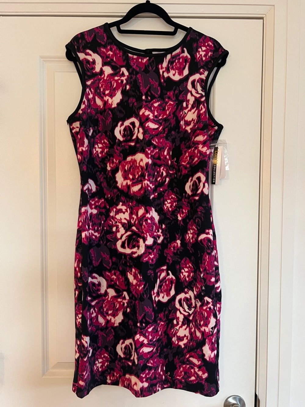 Cap-Sleeve Floral Sheath Dress in Fuchsia and Black